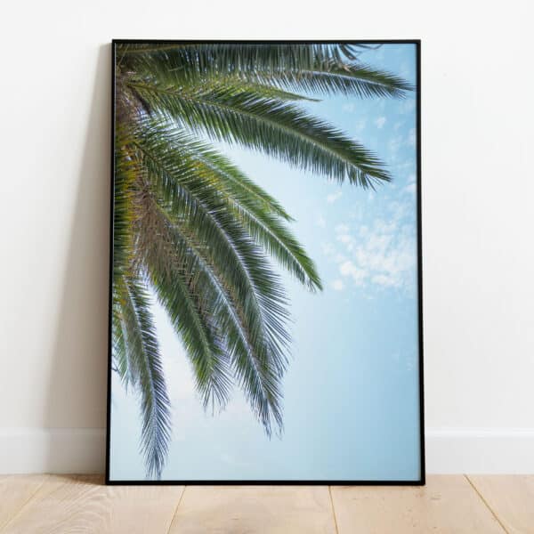 Poster - Palm