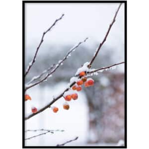 Poster - Winter appeltjes