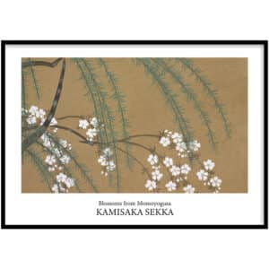 Kamisaka Sekka Blossoms