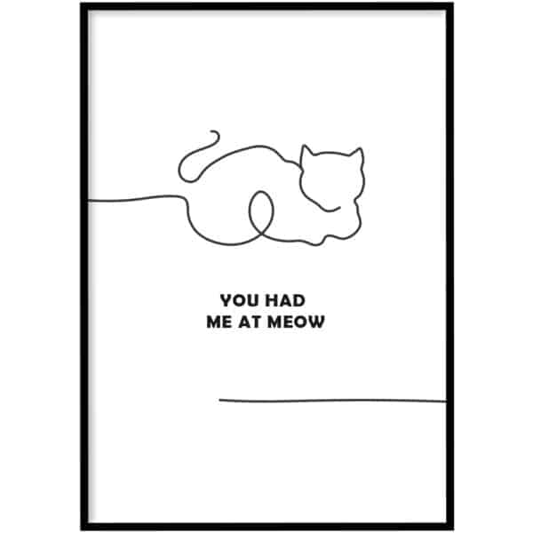 Poster - Meow