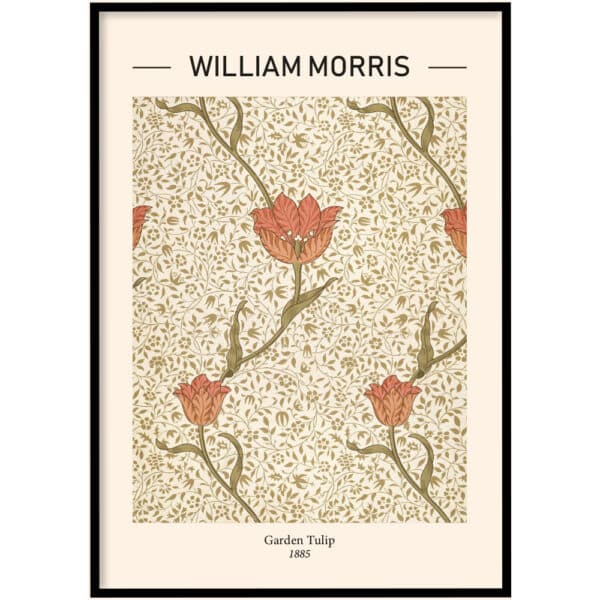 William Morris Garden Tulip
