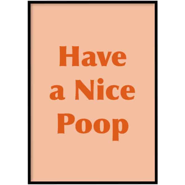 Poster - Nice poop